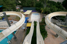 Enlarge photo 98