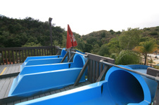 Enlarge photo 104