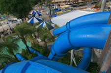 Enlarge photo 112