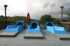 Enlarge photo 113