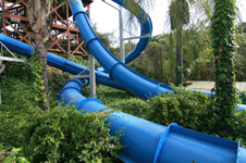 Enlarge photo 117