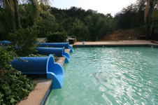 Enlarge photo 119