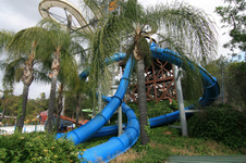 Enlarge photo 124