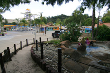 Enlarge photo 130