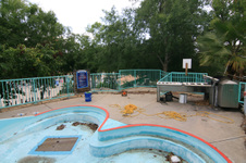 Enlarge photo 137