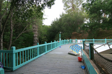 Enlarge photo 151