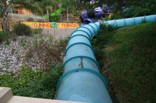 Enlarge photo 152