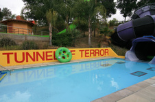 Enlarge photo 159