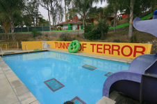 Enlarge photo 161