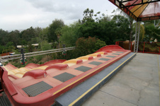Enlarge photo 194