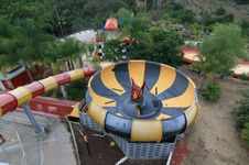 Enlarge photo 214