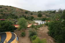 Enlarge photo 215