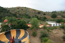 Enlarge photo 216