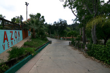 Enlarge photo 221