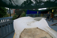Enlarge photo 229