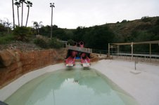 Enlarge photo 242