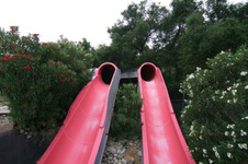 Enlarge photo 189