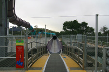 Enlarge photo 254