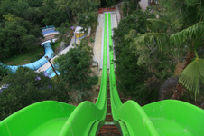 Enlarge photo 178