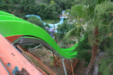 Enlarge photo 181