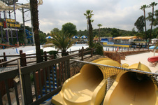 Enlarge photo 27