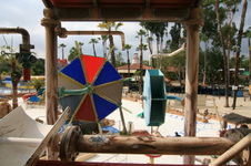 Enlarge photo 50