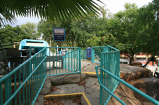 Enlarge photo 61