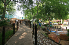 Enlarge photo 62