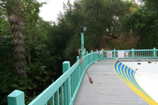 Enlarge photo 73