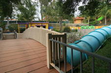 Enlarge photo 80
