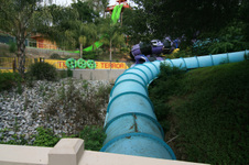 Enlarge photo 81