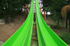 Enlarge photo 96
