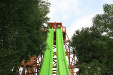 Enlarge photo 97