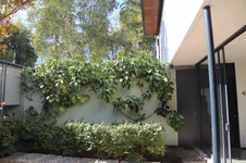 Enlarge photo 38