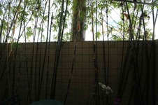 Enlarge photo 46