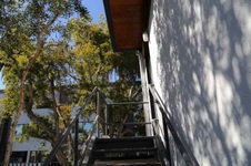 Enlarge photo 61