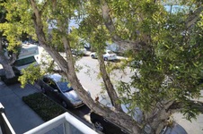 Enlarge photo 62