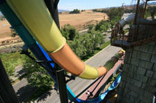 Enlarge photo 16