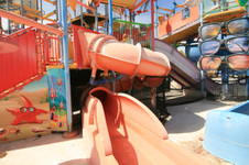 Enlarge photo 43