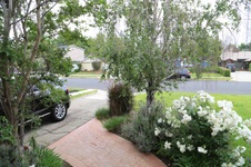 Enlarge photo 21