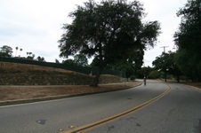 Enlarge photo 42