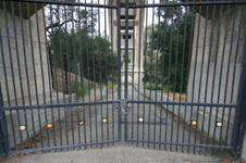 Enlarge photo 45