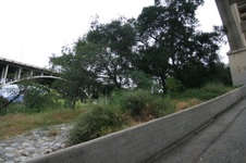 Enlarge photo 48