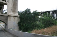 Enlarge photo 51