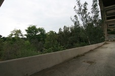 Enlarge photo 53