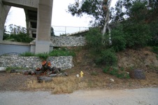 Enlarge photo 61
