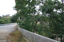 Enlarge photo 64