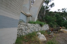 Enlarge photo 65