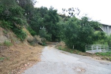 Enlarge photo 67