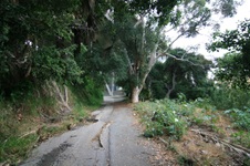 Enlarge photo 68